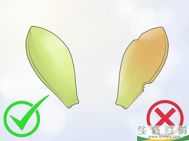 怎么用叶插法培育多肉植物