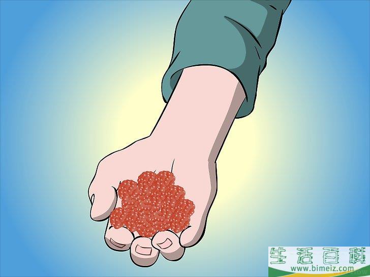 怎么种植树莓
