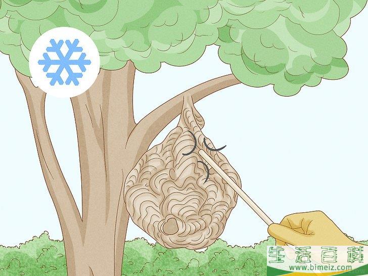 怎么清除黄蜂巢