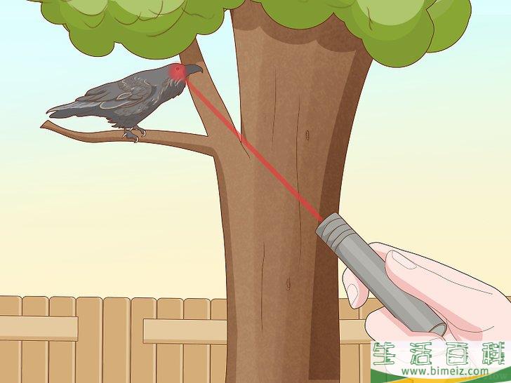 怎么赶走乌鸦