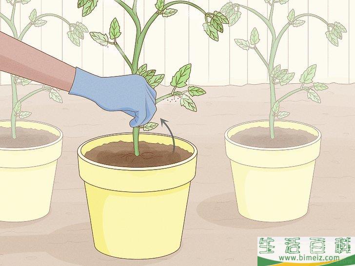 怎么通过自然的方法消灭红蜘蛛
