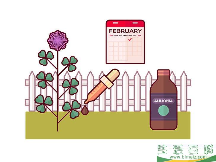 怎么清除三叶草