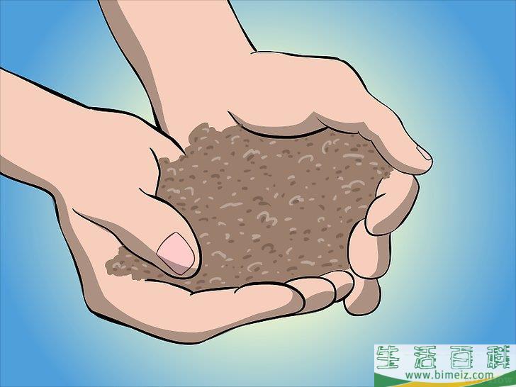 怎么种植树莓