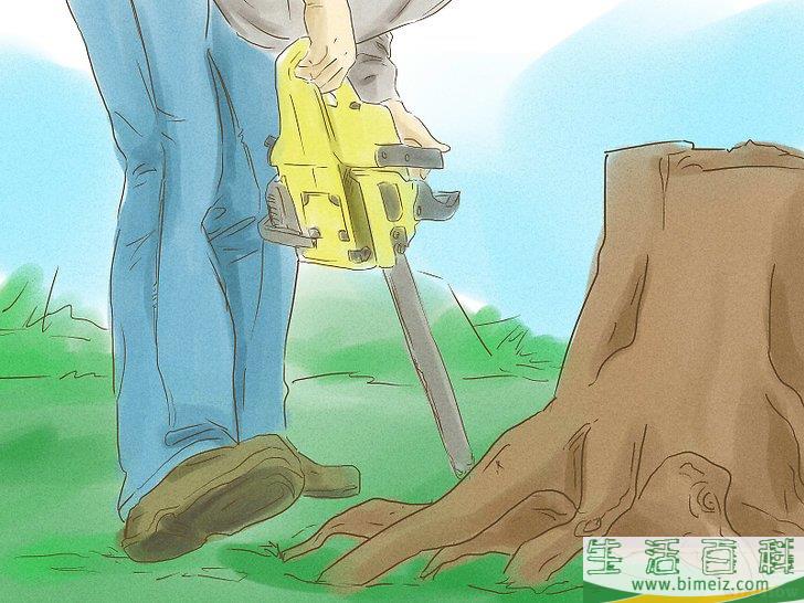 怎么杀死树根