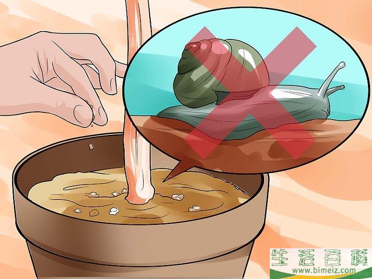 怎么在花园里利用咖啡渣