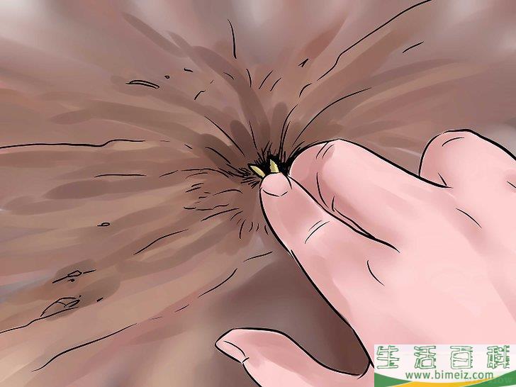 怎么种黄瓜