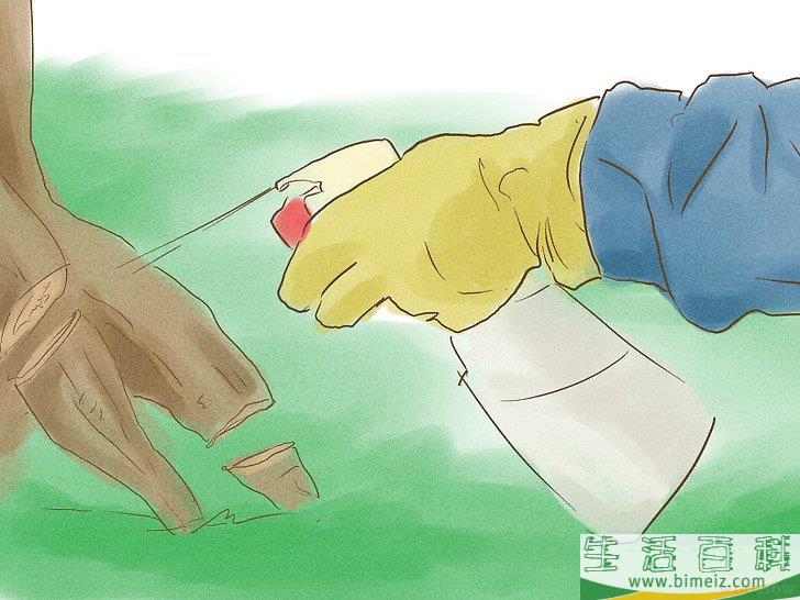 怎么杀死树根