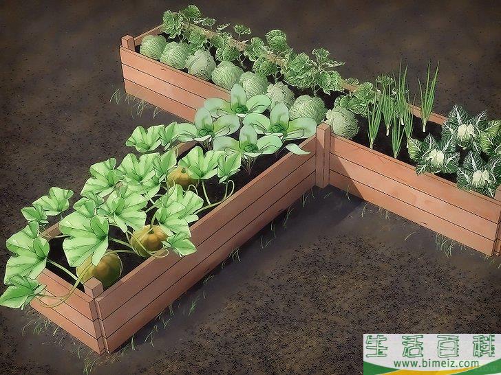 怎么让动物远离你的菜园