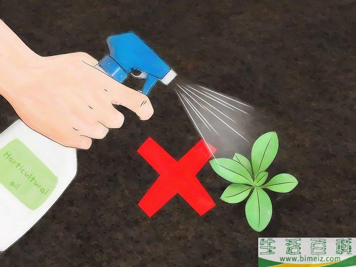 怎么消灭介壳虫