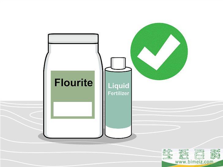 怎么种植淡水水族箱植物