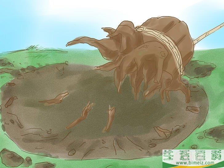 怎么杀死树根