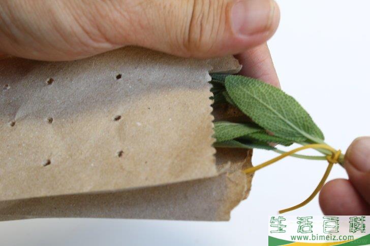 怎么得到干燥的鼠尾草