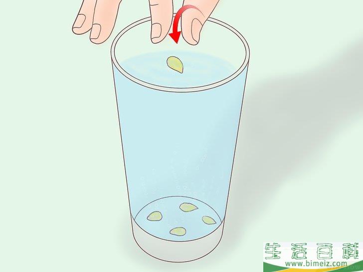怎么从种子开始种植柠檬