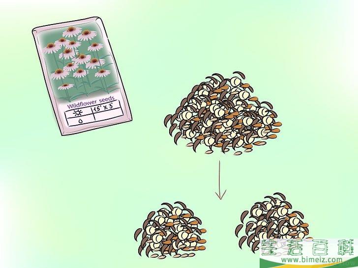 怎么种植野花
