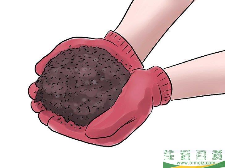 怎么种黄瓜