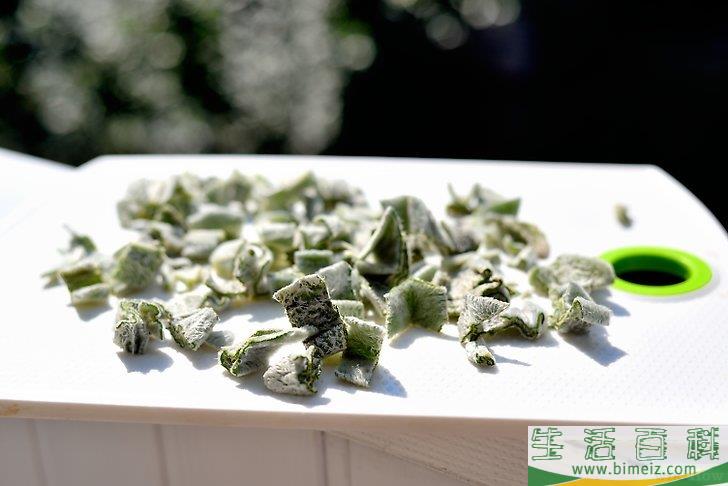 怎么得到干燥的鼠尾草