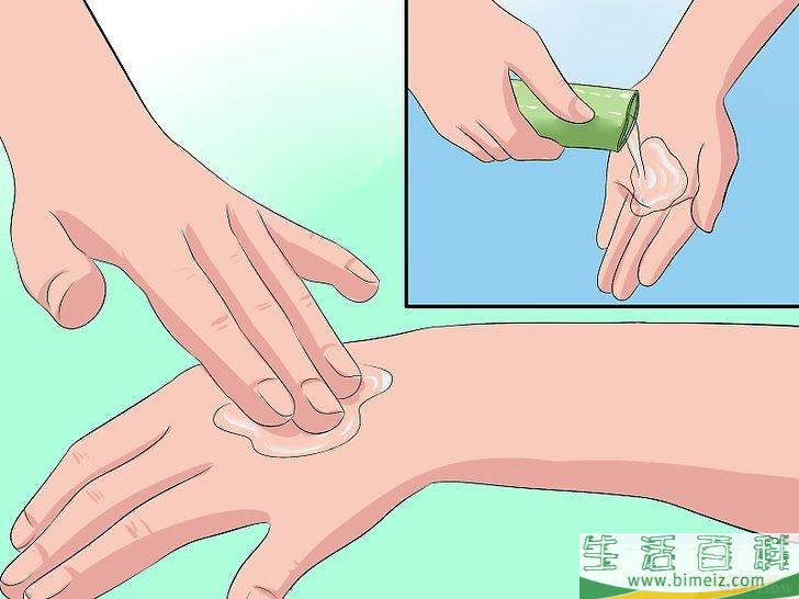 怎么培育芦荟