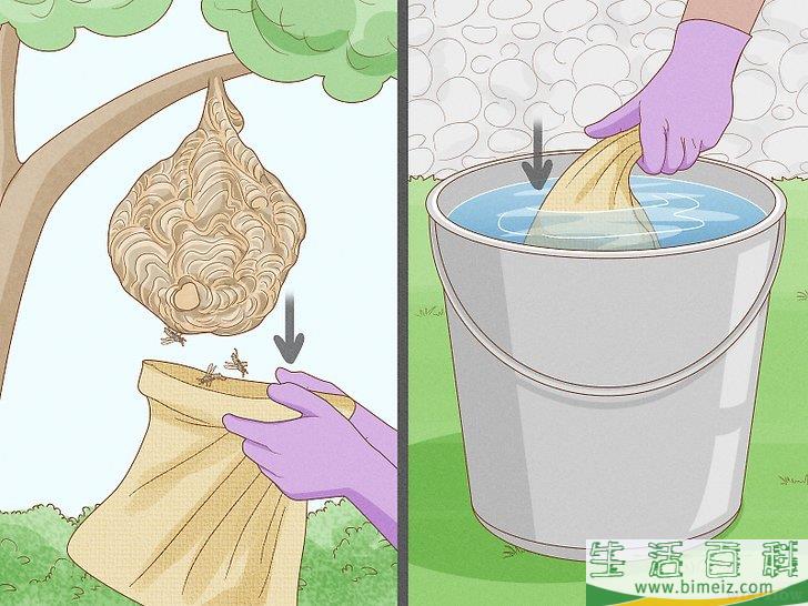 怎么清除黄蜂巢