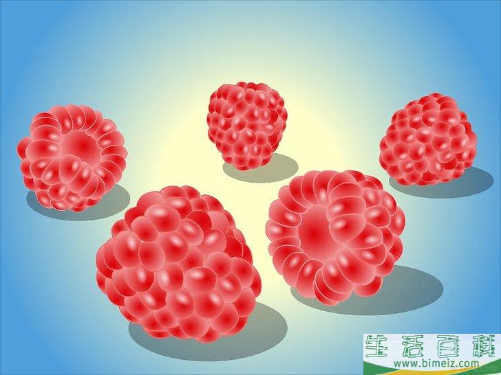 怎么种植树莓