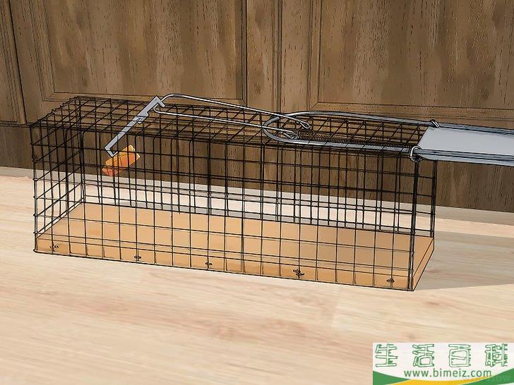 怎么除去老鼠