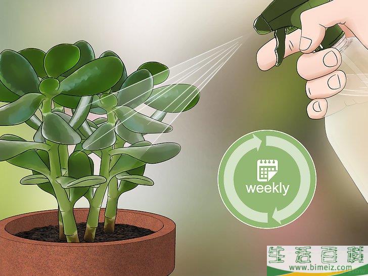 怎么消灭粉疥虫