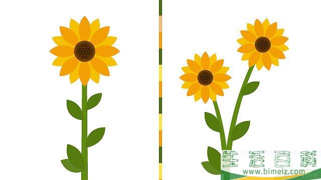怎么在花盆里种植向日葵
