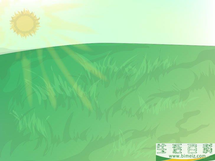 怎么种植野花