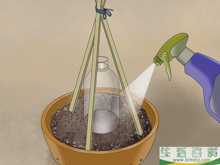 怎么盆栽黄瓜