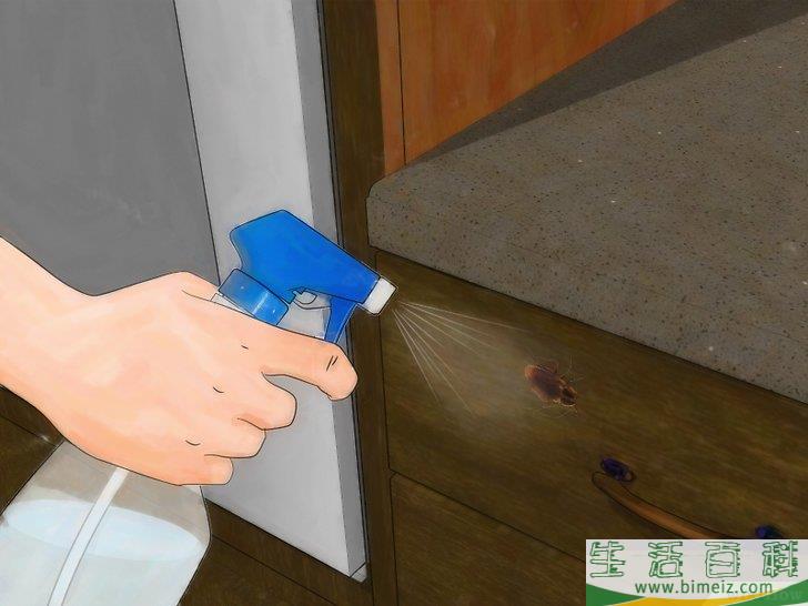 怎么消除蟑螂