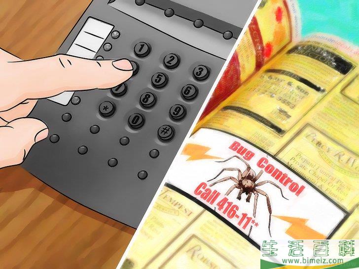 怎么清除屋里的蜘蛛
