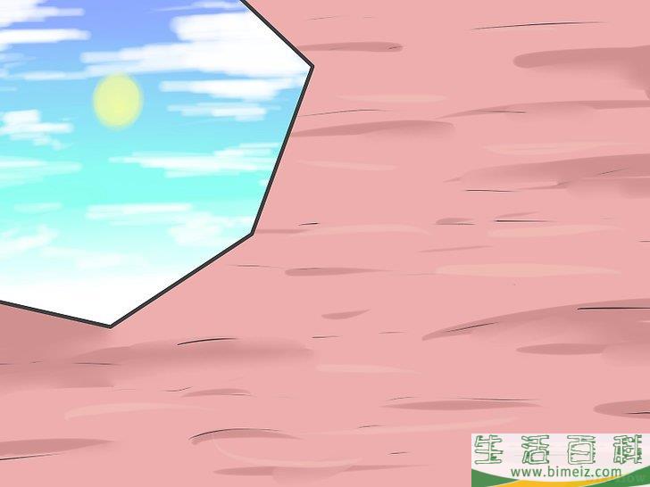 怎么种植向日葵种子