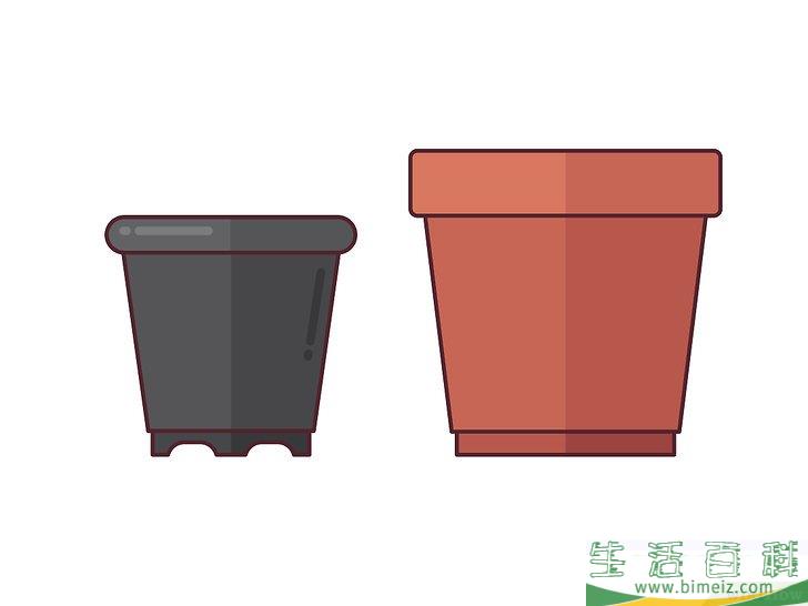 怎么在室内种植仙人掌