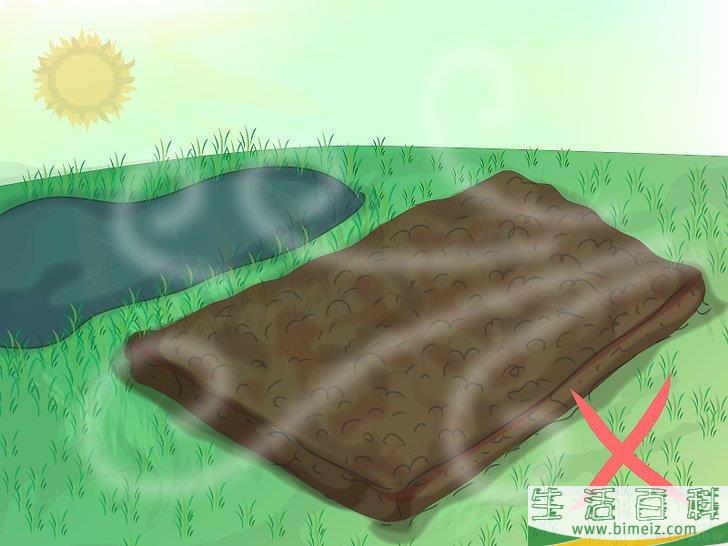 怎么种植野花