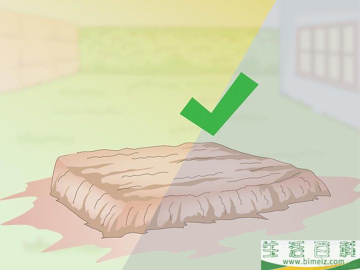 怎么修剪香菜