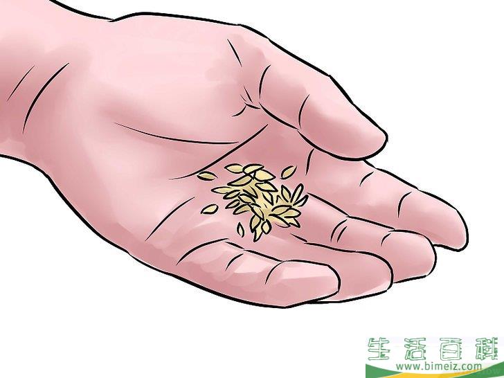 怎么种黄瓜