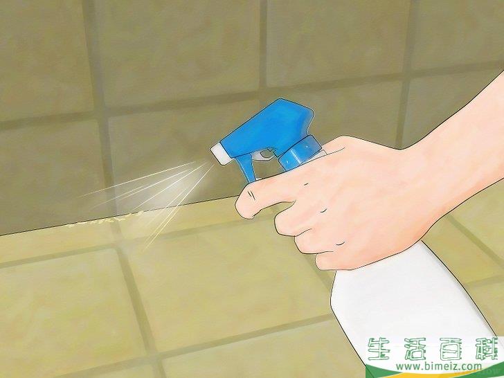 怎么杀光蝇蛆