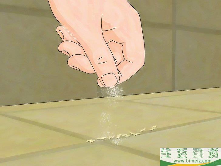 怎么杀光蝇蛆