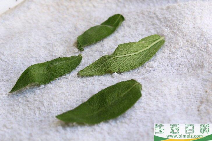 怎么得到干燥的鼠尾草