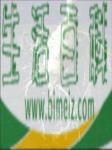 怎么种植辣木树