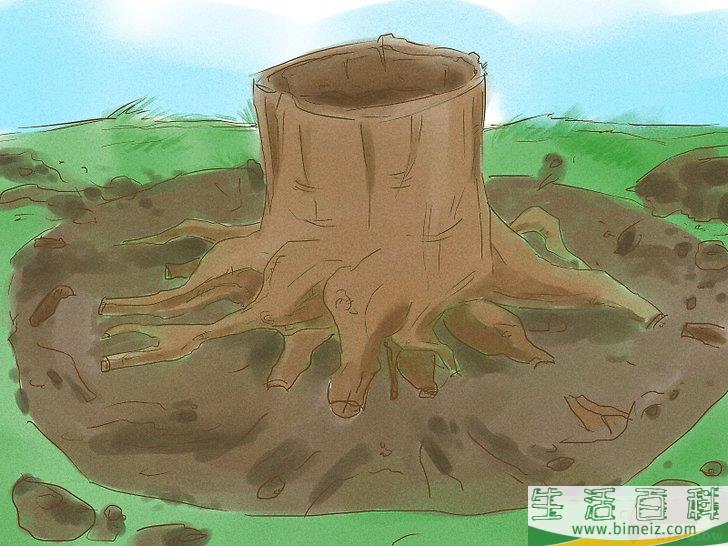 怎么杀死树根