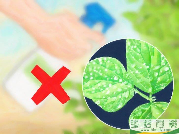 怎么消灭介壳虫