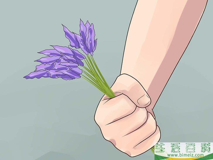 怎么收割薰衣草