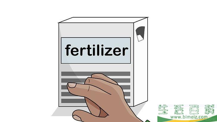 怎么种植室内盆栽