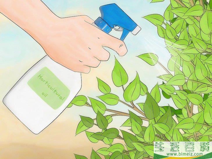 怎么消灭介壳虫