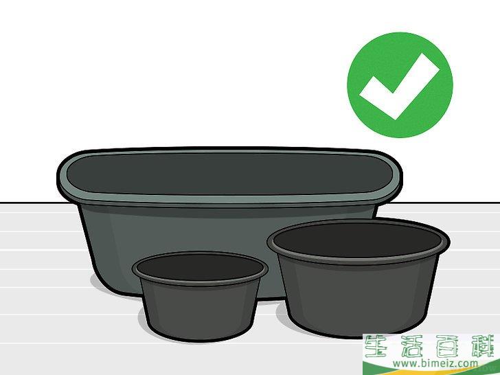 怎么种植莲花