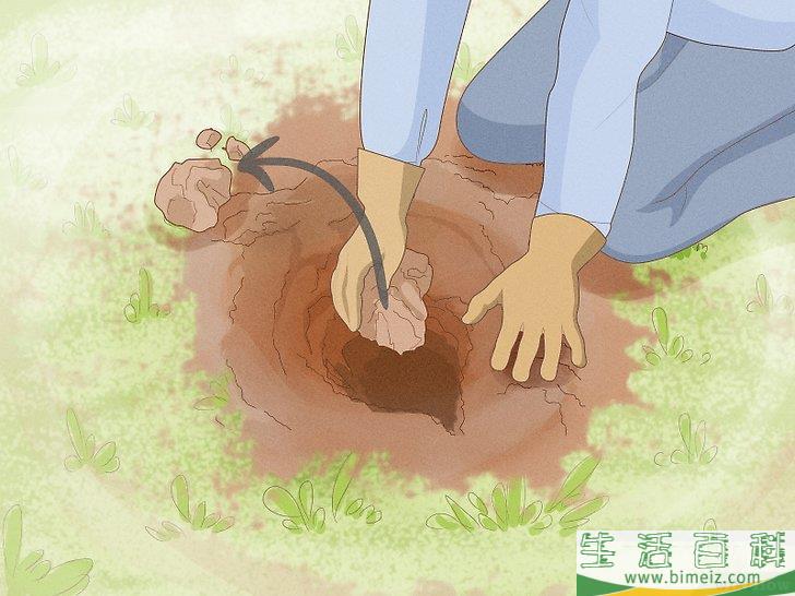 怎么除去莎草