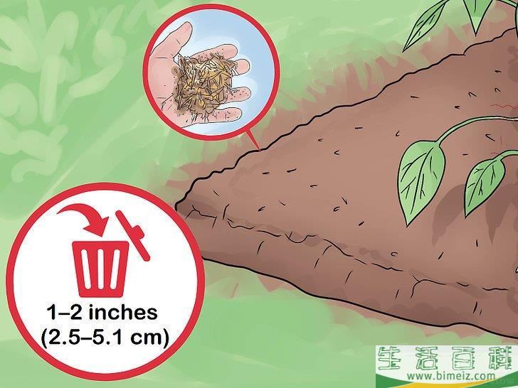 怎么照料植物