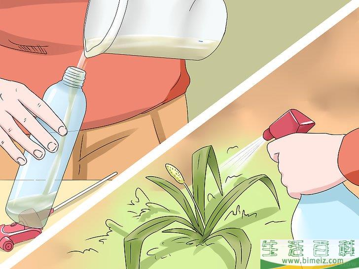 怎么制作除草剂