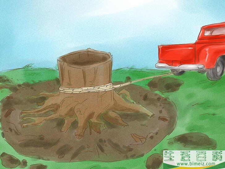 怎么杀死树根