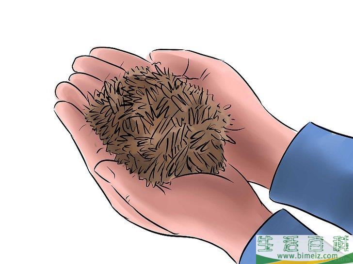 怎么种黄瓜